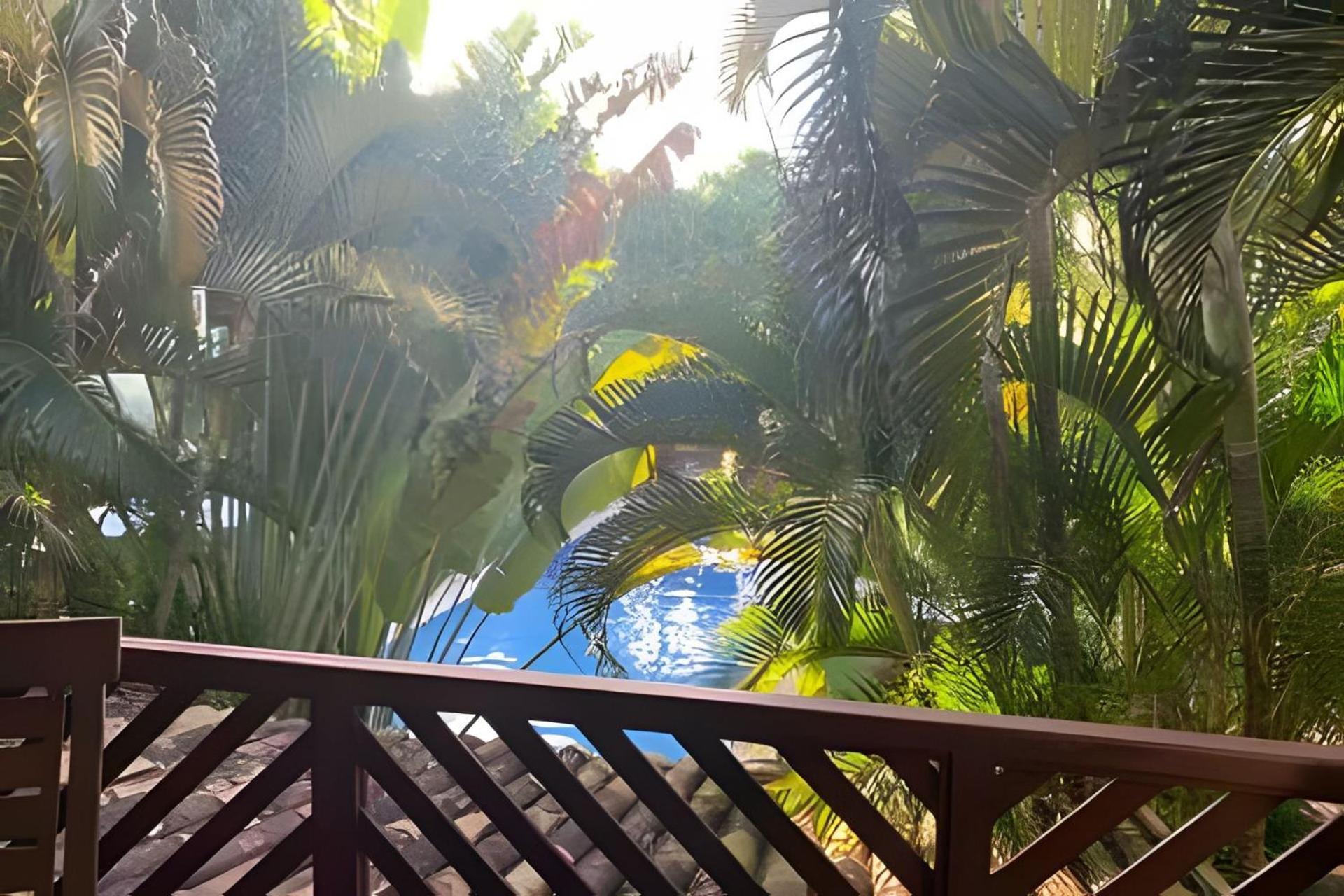 Pipa Beleza - Chales Particulares Praia de Pipa ภายนอก รูปภาพ